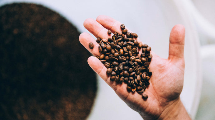 Die verschiedenen Arten von Kaffeebohnen und ihre Aromen: Ein Guide