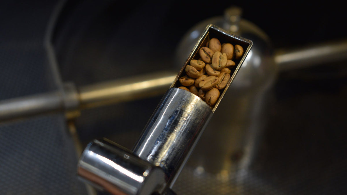 Schonende Kaffeeröstung im Trommelröstverfahren mit Kaffee aus Direkthandel